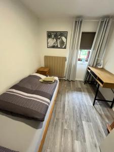 a bedroom with a bed and a desk at Suite 2 SZ- Lichtenberg in Salzgitter