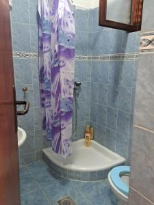 a bathroom with a purple shower curtain and a toilet at Sea View in Tivat +28 photos