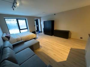 オーレスンにあるÅlesund Campus Apartmentsのソファとベッドのあるリビングルーム
