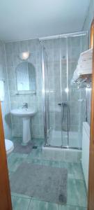 une salle de bain avec douche et lavabo dans l'établissement Casa Sandina, à Vama