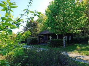 VaulryLes chalets de Céleste的花园中的小小屋