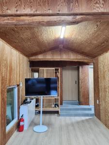 TV a/nebo společenská místnost v ubytování NK House