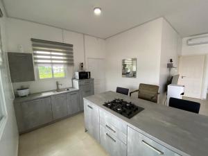 Η κουζίνα ή μικρή κουζίνα στο Casa Kappa Alibutsweg 15C