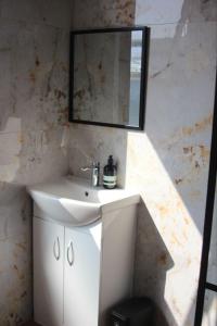 a bathroom with a white sink and a mirror at River bridge in Luton