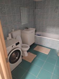 a bathroom with a toilet and a washing machine at Zețarilor 21A in Bucharest