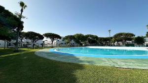 a swimming pool in a park with a palm tree at Casa doble Almadraba in Novo Sancti Petri