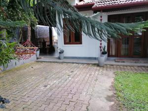 Κήπος έξω από το Villa 223