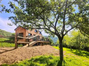 Saint-RémyTiny House Le Petit Nid du Pré的山丘上一所房子,前庭上有一棵树