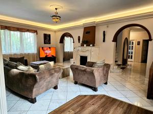 a living room with two couches and a fireplace at Villa Wellness Budapest in Budapest