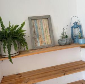 a shelf with plants and a lantern on it at סתלבט בקיבוץ in HaGoshrim
