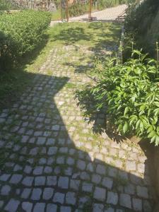 Zahrada ubytování Apartman Jana