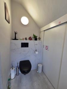 a bathroom with a toilet with a black seat at Haus Andrea Theresia in Weywertz