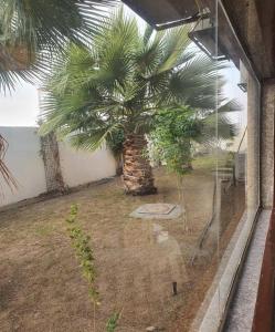 Κήπος έξω από το فندق اللقاء الذهبي