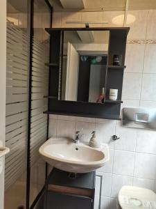 a bathroom with a sink and a mirror at Ferienhaus Waldperle in Ronshausen