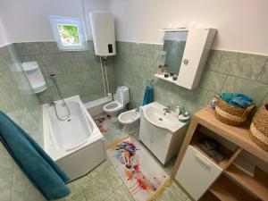 a bathroom with a sink and a toilet at Căsuța Urșilor , Năvodari in Sibioara +19 photos