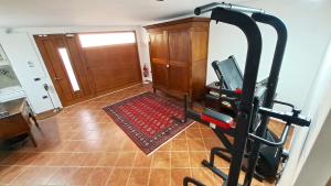 The fitness centre and/or fitness facilities at Alloggio Gladiolo