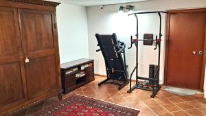 The fitness centre and/or fitness facilities at Alloggio Gladiolo