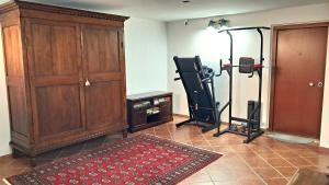 The fitness centre and/or fitness facilities at Alloggio Gladiolo