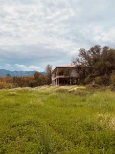 a house on a hill in a field of grass at Chambre Cosy dans villa de standing avec piscine in Porto-Vecchio