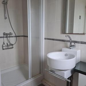 a bathroom with a sink and a shower at Domaine du lac in Cherrueix