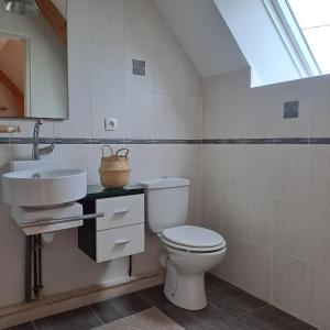 a bathroom with a toilet and a sink at Domaine du lac in Cherrueix +34 photos