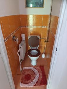 a small bathroom with a toilet and a shower at Penzion Na Třeťasu s vinným sklepem in Starovice +14 photos