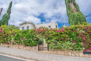 Ein Garten an der Unterkunft Villa Selenia with private pool & jacuzzi in Latsi Paphos