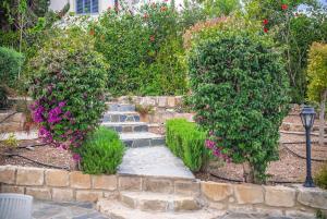 Ein Garten an der Unterkunft Villa Selenia with private pool & jacuzzi in Latsi Paphos