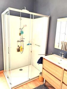 a shower stall in a bathroom with a sink at Les Chambres de la Violette in Grenier-Montgon +30 photos