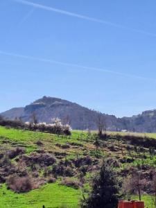 a green field with mountains in the background at Les Chambres de la Violette in Grenier-Montgon