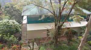 a house with a green roof and a tree at Winter Green Resorts, Munnar in Munnar