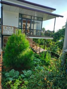 Κήπος έξω από το Homestay hichi bảo Lộc