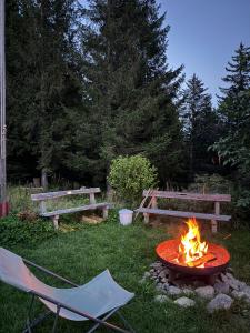 Fotografie z fotogalerie ubytování Die Herrgottschnitzerhütte am Wechsel v destinaci Neuwald