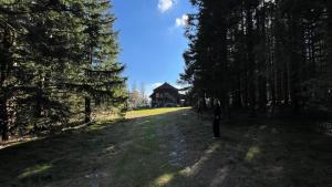 Fotografie z fotogalerie ubytování Die Herrgottschnitzerhütte am Wechsel v destinaci Neuwald + 14 fotografií