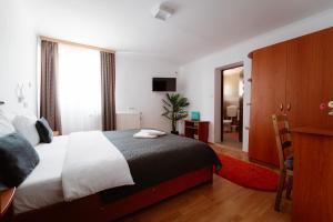 a bedroom with a bed and a desk and a mirror at Casa Carol in Tăşnad