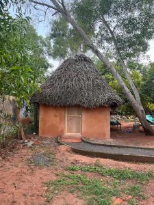 Gallery image of Reve living in Auroville