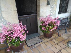 Gran Pedroso de Llanes外面的花园