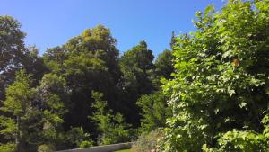 Φυσικό τοπίο κοντά σε αυτό το διαμέρισμα +1 φωτογραφίες