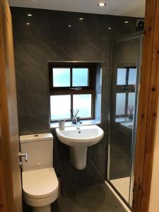 a bathroom with a toilet and a sink and a shower at Renovated 2 bed Cottage in Ulverston, Garden with Views in Ulverston +23 photos