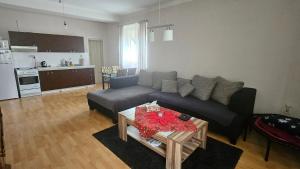 Kuchyň nebo kuchyňský kout v ubytování Flat is located in the city center