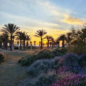 En have udenfor Apto PETANCA, Retamar, Cabo de Gata + 24 billeder