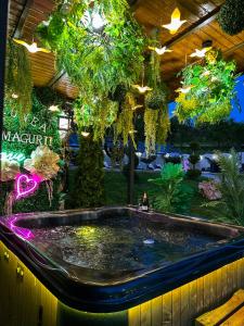 VALEA MAGURII外面的花园