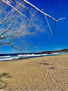une vue d'une plage avec un arbre dessus dans l'établissement Lovely place with free parking, à Corbara