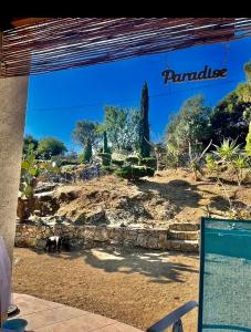 une fenêtre d'un bâtiment avec un chien debout à l'extérieur dans l'établissement Lovely place with free parking, à Corbara 12 autres photos