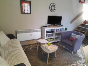 TV a/nebo společenská místnost v ubytování Le Cerf volant