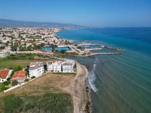 une vue aérienne d'une plage avec des maisons et l'océan dans l'établissement Blue Waves, à Káto Ássos 16 autres photos
