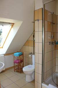 a bathroom with a toilet and a sink at Pensjonat EL-TAN - nocleg na wsi z WI-FI bez TV in Złoty Stok +123 photos