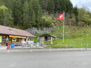 Příroda nedaleko luxury tent