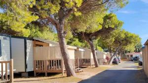 a row of trees in front of a building at Camping 4 étoiles - eebaeh in Hyères