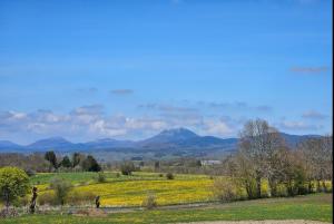 a field of yellow flowers with mountains in the background at LOGIS LAS CROZAS Le Mousseron orientable in Vernines